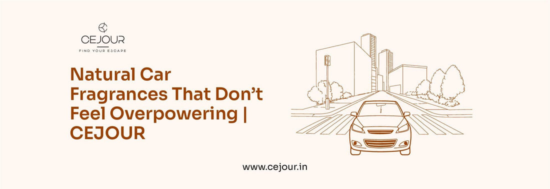 Car Fragrances That Don’t Feel Overpowering | CEJOUR - Cejour