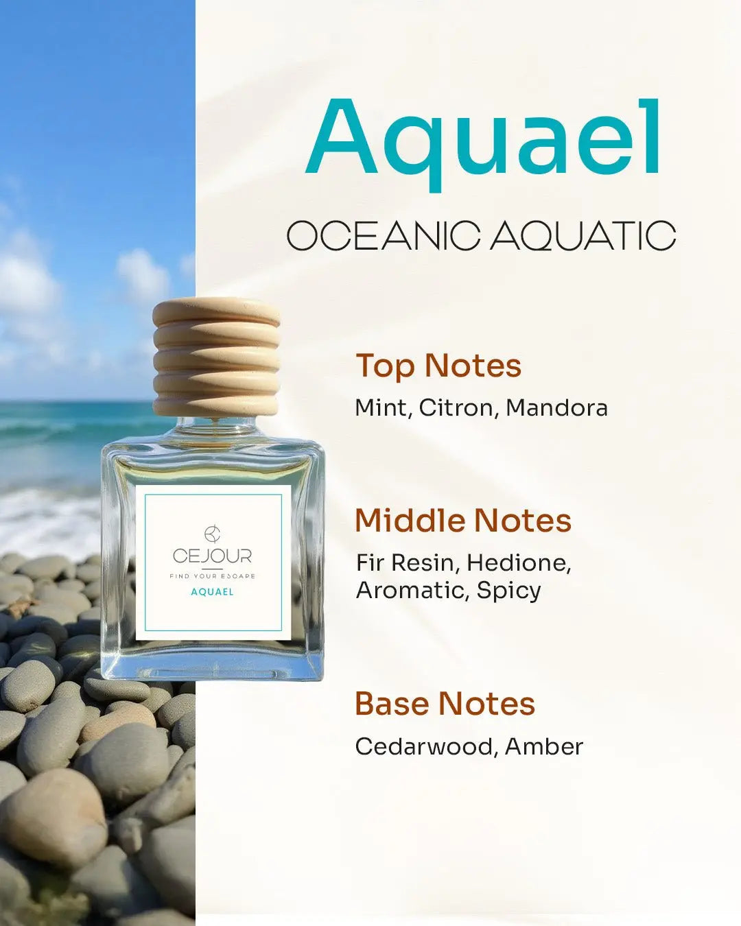 AQUAEL Oceanic Car Perfume Diffuser – 10 ml - Cejour